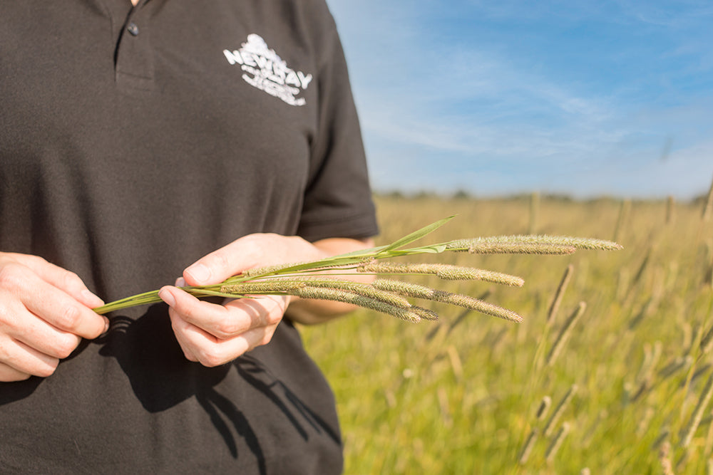 Newhay's founder explains his approach to producing premium hay for small pets