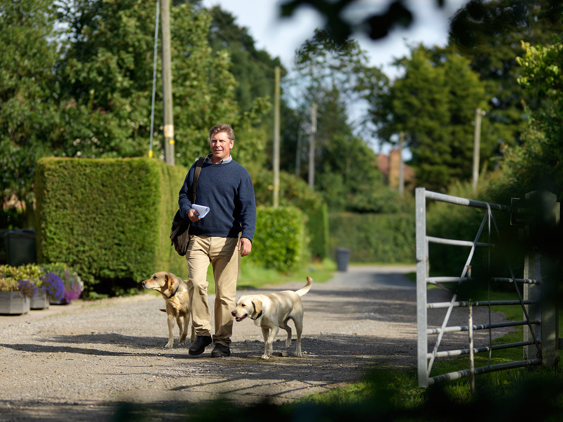 <h1>Our Farm – The Home of Premium British Timothy Hay</h1>