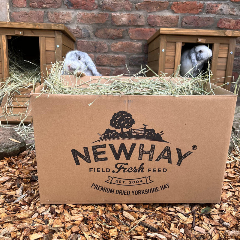 Hay vs Straw: What’s the Difference and Which Is Best for Small Pets?