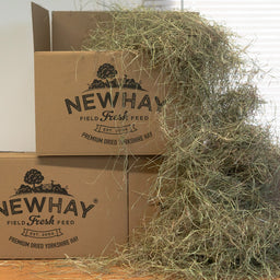 4kg Pure Meadow Hay Box