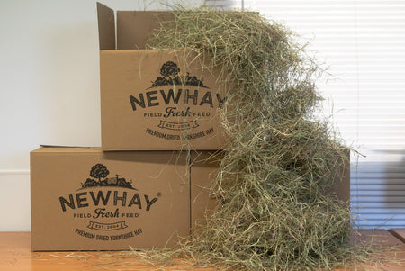 4kg Pure Meadow Hay Box