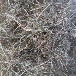 meadow hay