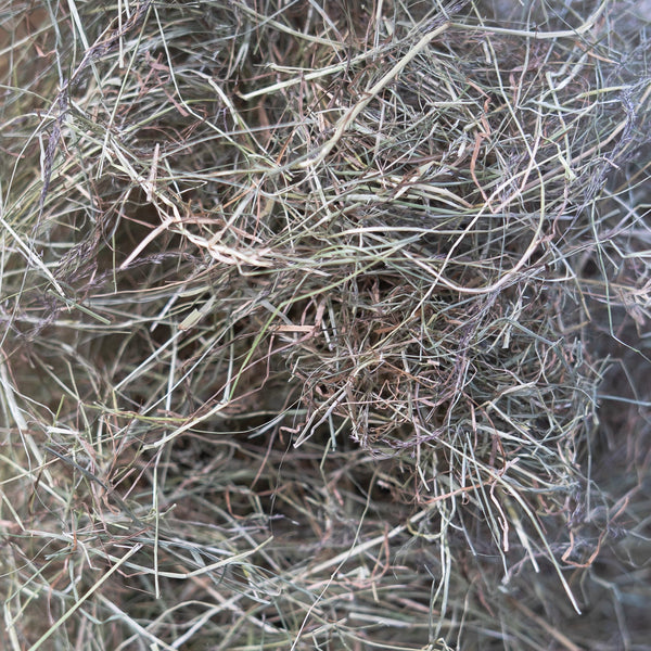 Timothy Hay vs. Meadow Hay – What’s the Difference?