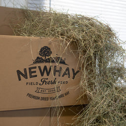 meadow hay for small pets