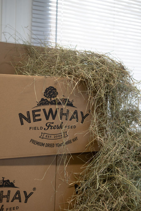 meadow hay for small pets