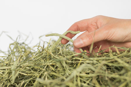 1kg Timothy Hay with Dandelion & Nettle Bale