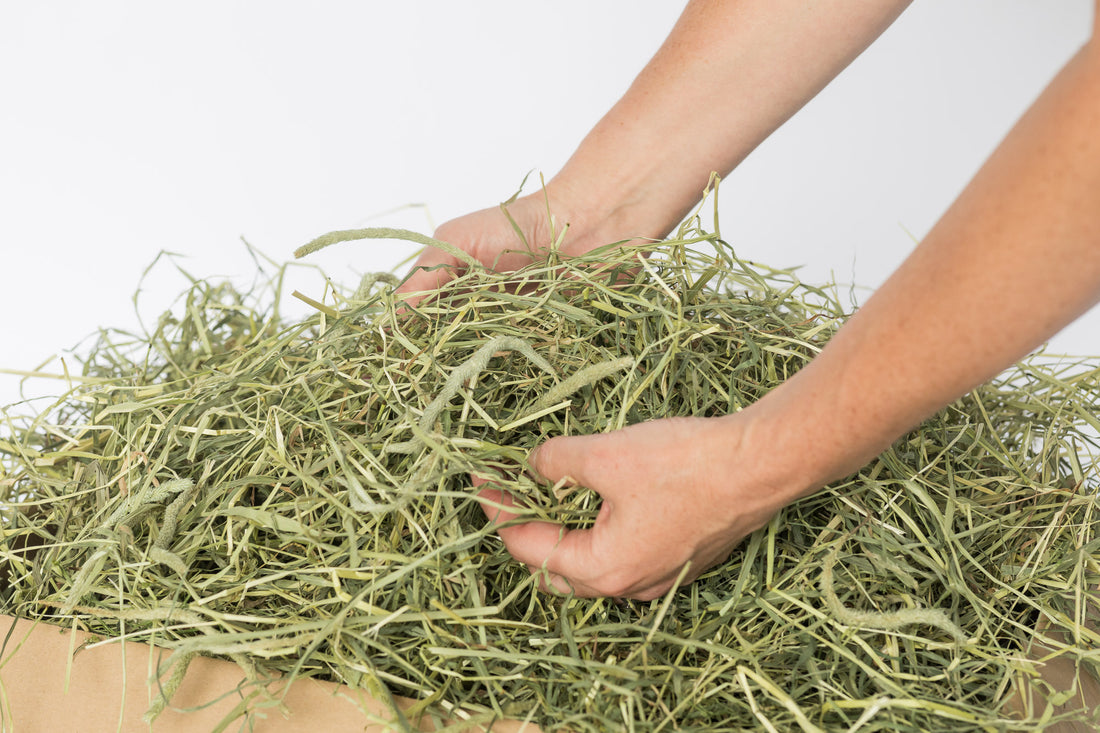 <h1><strong>Meadow Hay for Rabbits, Guinea Pigs & Small Pets</strong></h1>