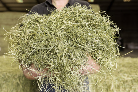1kg Pure Timothy Hay Bale