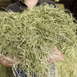 1kg Timothy Hay with Dandelion & Nettle Bale