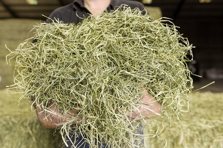 1kg Timothy Hay with Dandelion & Nettle Bale