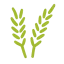 Wheat icon